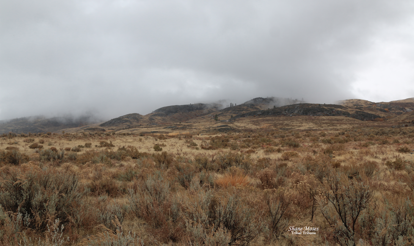 Colville Confederated Tribes gifted 9,243 acres in Tunk Valley News