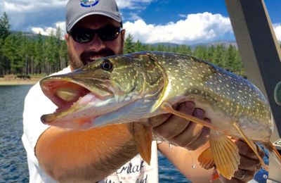Program pays anglers for catching northern pike in Lake Roosevelt, News