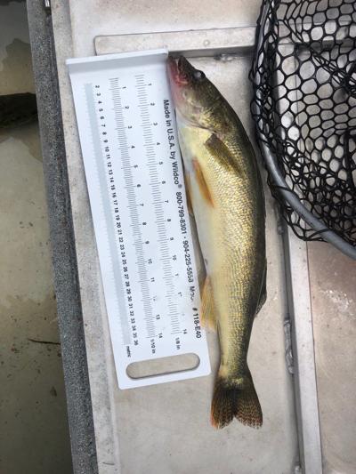 Colville fishing license Colville fishing license