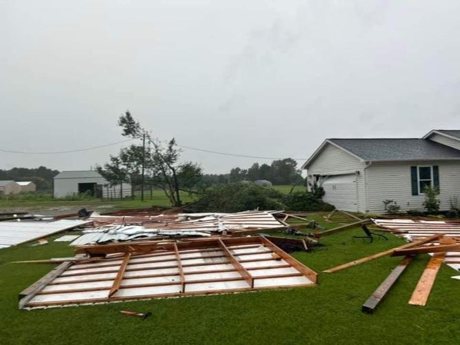 Downed trees, storm damage reported after severe weather ...