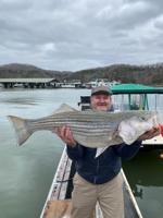 Spring fishing frenzy-Lake Cumberland reporting record numbers of bigger striped bass
