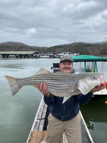 Spring fishing frenzy-Lake Cumberland reporting record numbers of bigger striped  bass, Sports
