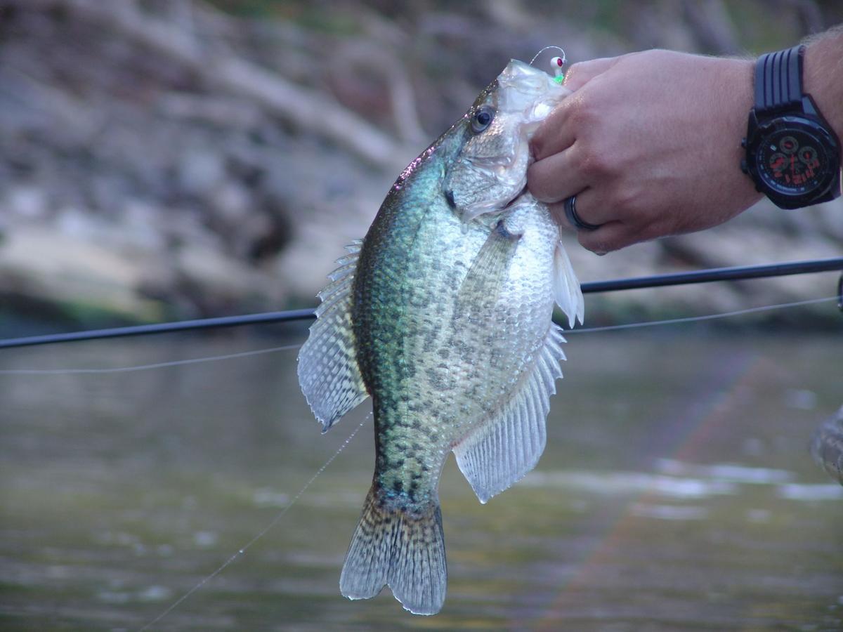 It's about time to catch some crappie, Sports