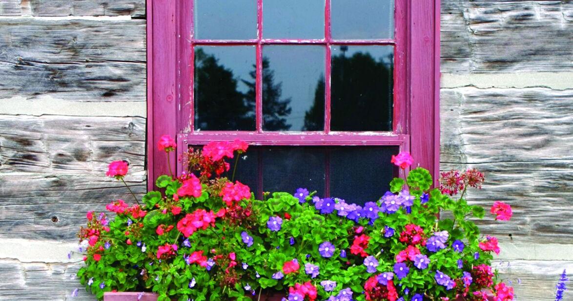 Budget-friendly ways to freshen up your home’s exterior