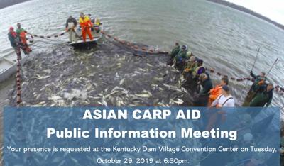 Local business pitching festival as weapon against Asian carp invasion image