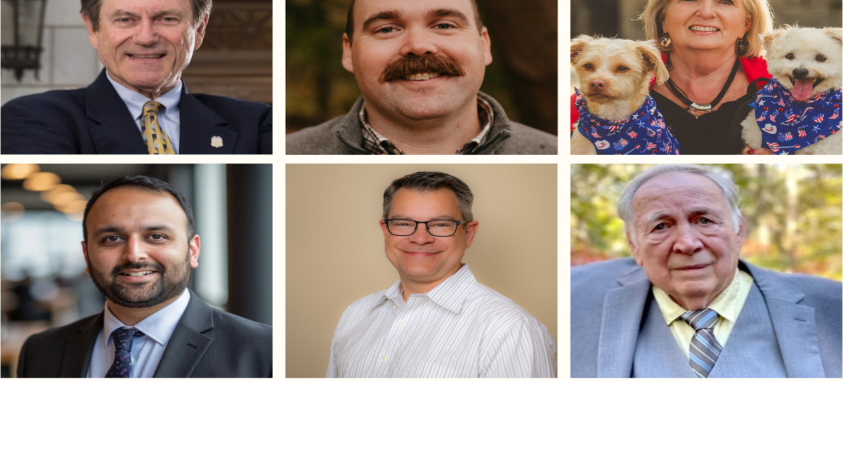 Voter Guide: Georgia House District 23