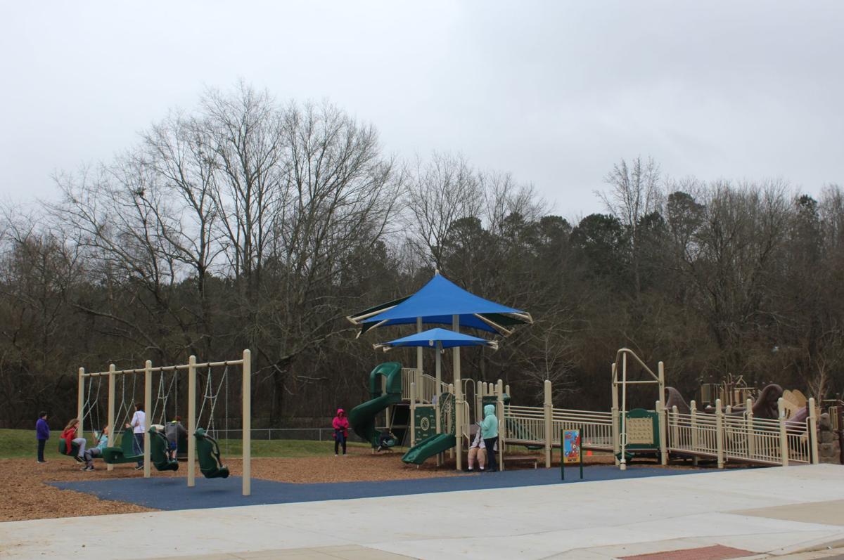 New Etowah River Park playground is for kids of all abilities Local
