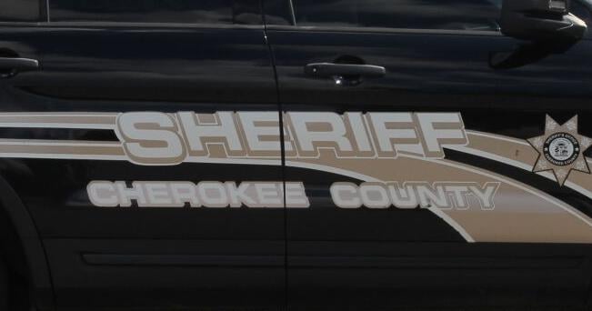 Teen Killed in Woodstock Crash - Vimarsana News