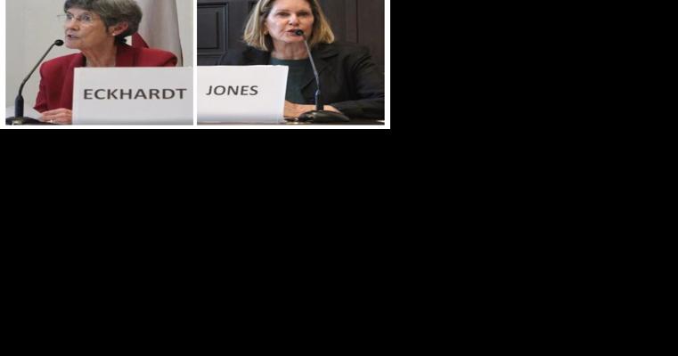 Georgia House District 47 Candidates Talk About the Issues - Vimarsana News