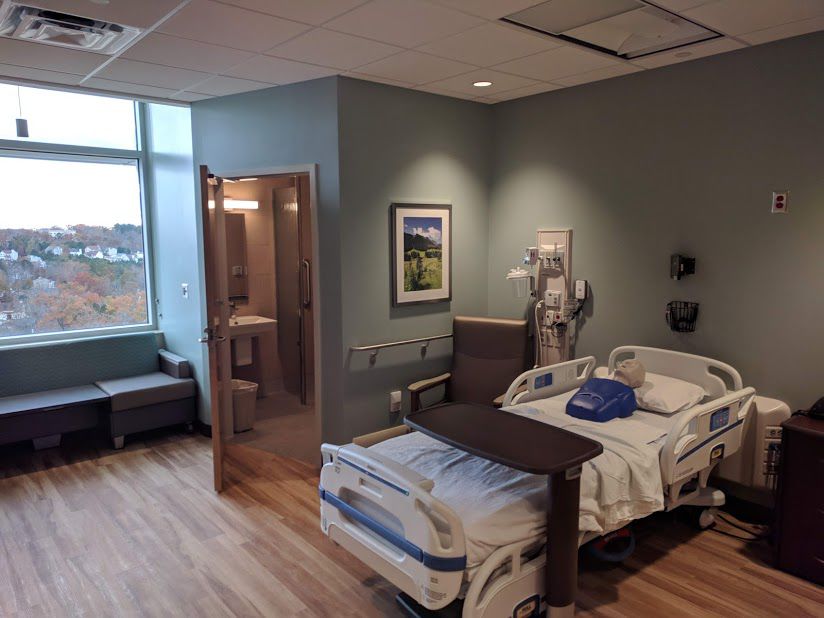 northside emergency vet clinic