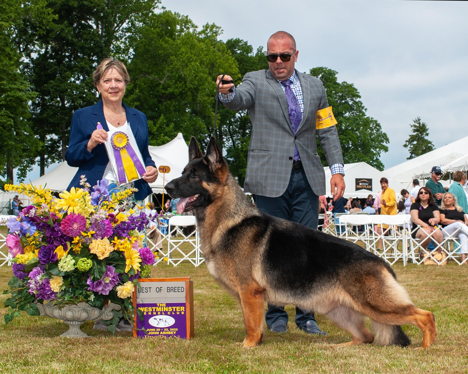 Westminster 2024 herding group