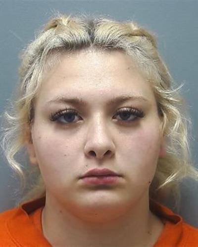 Two Cherokee County women accused of leaving puppies to die in a hot ...