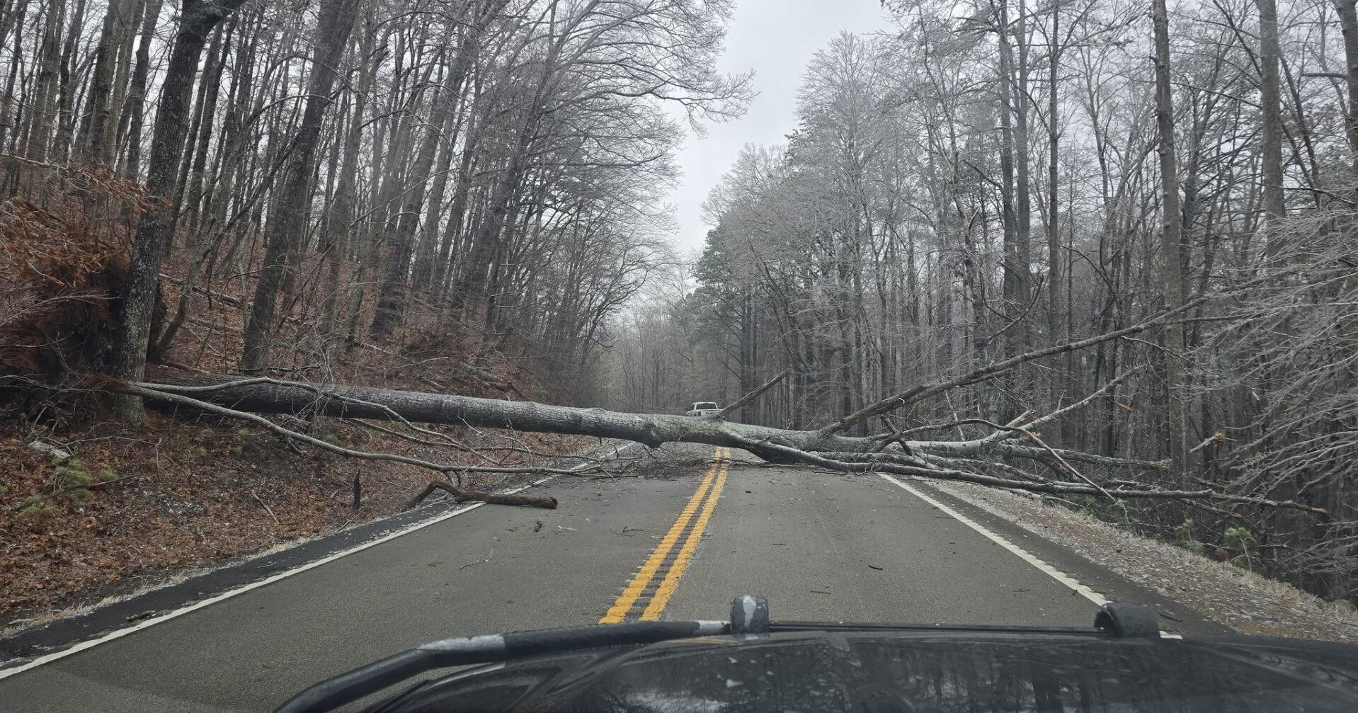 Ice and downed trees close roads in Cherokee County