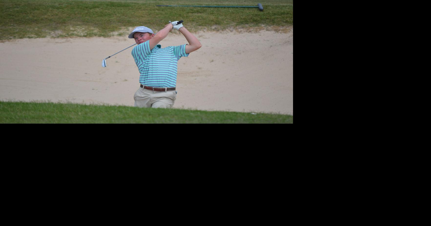 Five local golfers earn all-state recognition | Sports ...