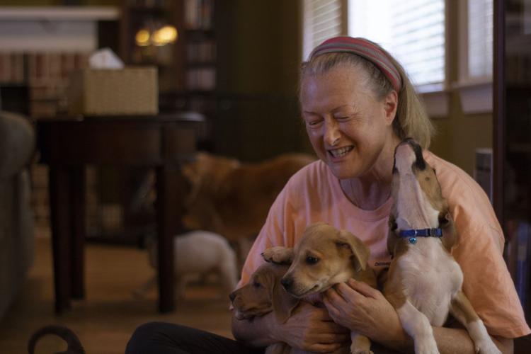 of mice and men candy and his dog