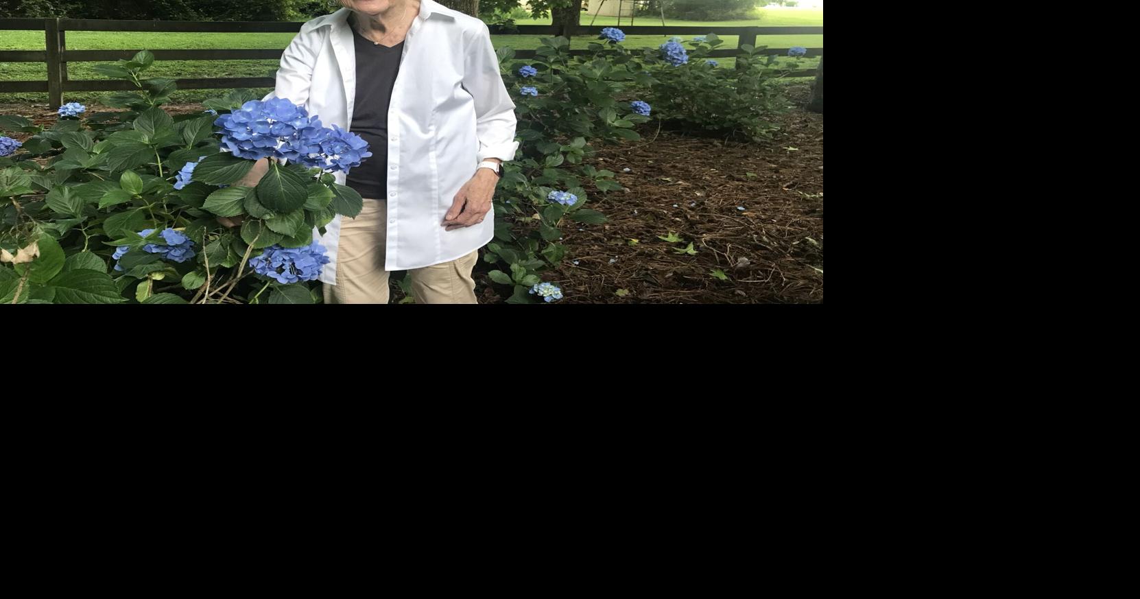 GARDENING WITH THE MASTERS: The many mysteries of hydrangeas ...