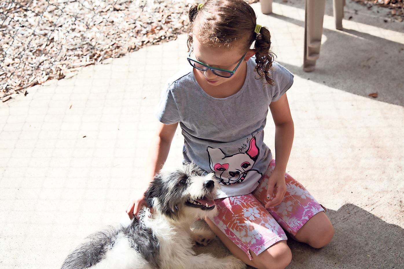 National Mutt Day Not Pure Bred But Pure In Heart Local News Tribuneledgernews Com
