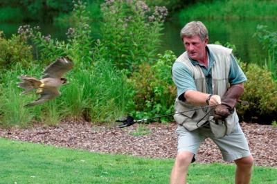 falconer
