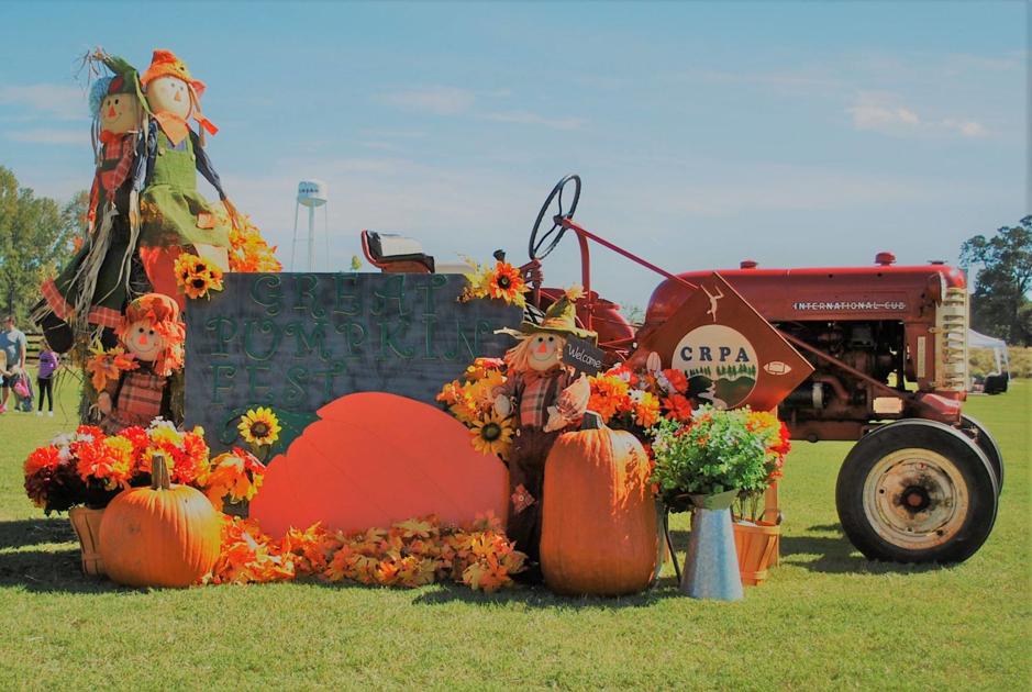 Annual Great Pumpkin Fest returning to Canton Saturday Lifestyle