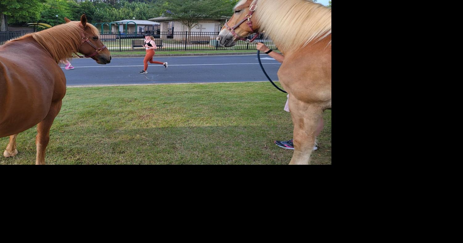 'Gallop and Go 5K' Fundraiser Returns to Canton in August | Events ...