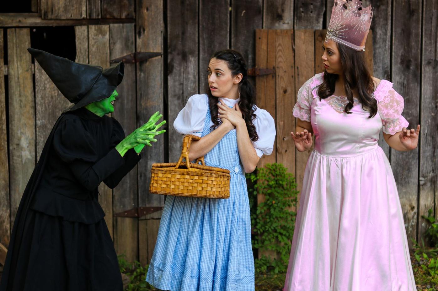 Elm Street Presents The Wizard Of Oz Lifestyle Tribuneledgernews Com