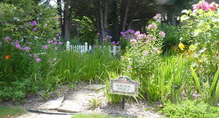 GARDENING WITH THE MASTERS Visit the gardens on Univeter Road to