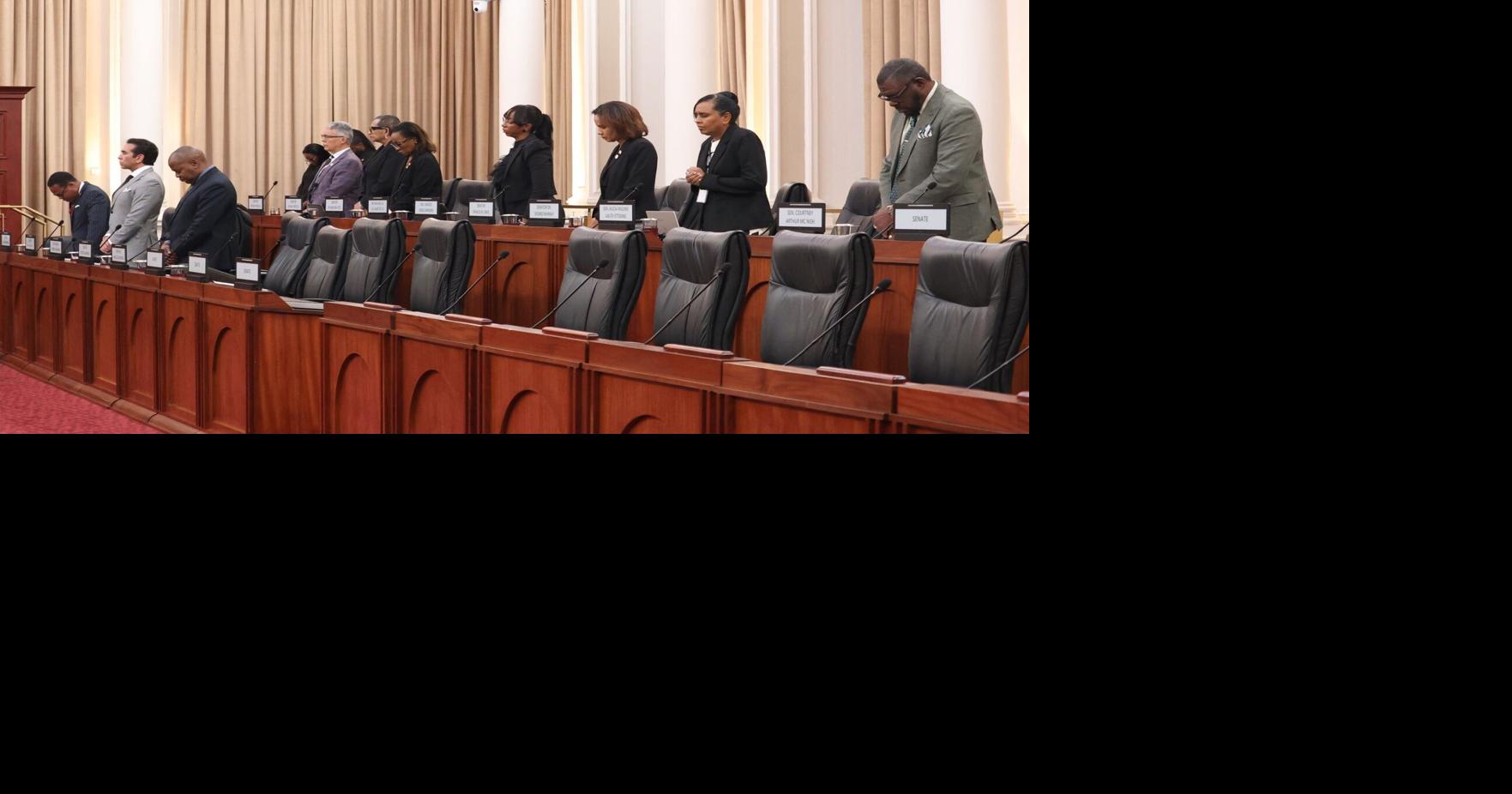 Kamla slams ' the nine scumbag President’s senators'