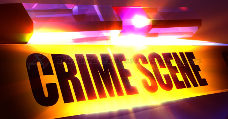 Venezuelan, 19, chopped to death