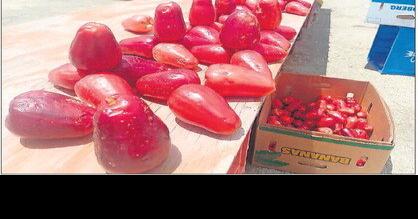 A $5 pomerac? - Local fruit prices soar - Vimarsana News