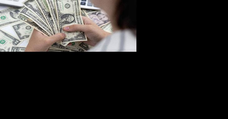 A case for dollarisation? - Vimarsana News