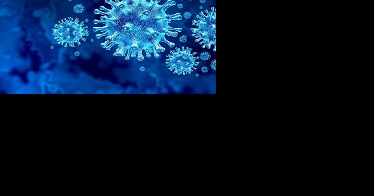 Six more die from Covid in August - Vimarsana News