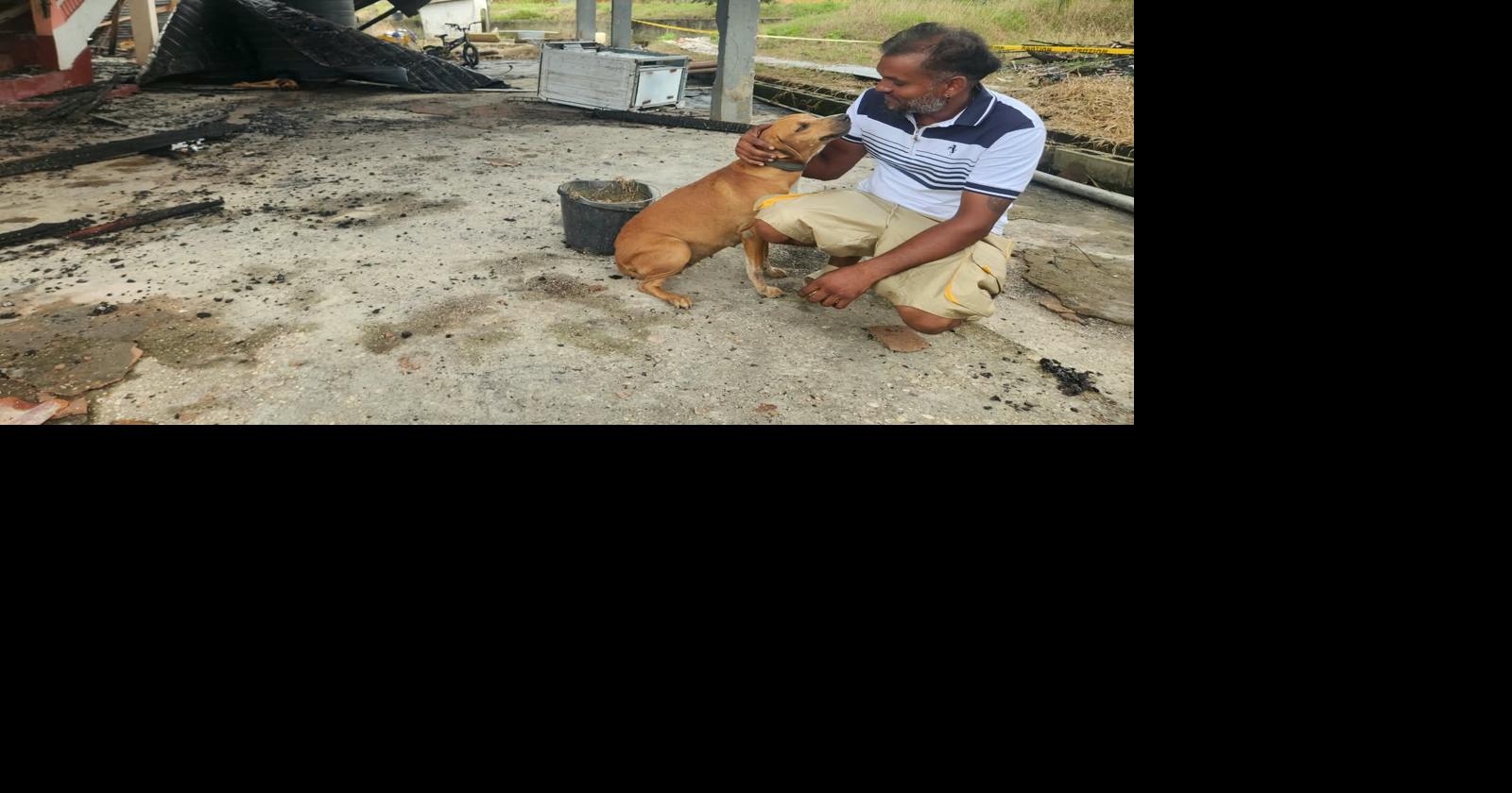 Vater rettet Vierjährigen aus Feuer, Familienhund stirbt