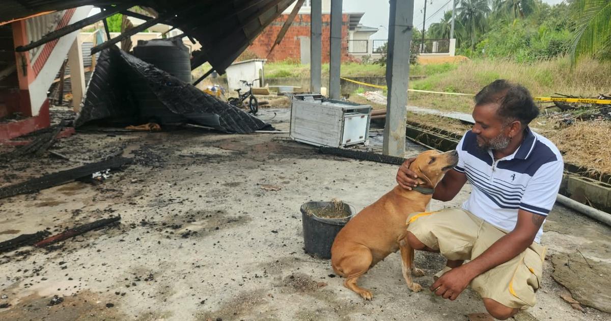 Vater rettet Vierjährigen aus Feuer, Familienhund stirbt