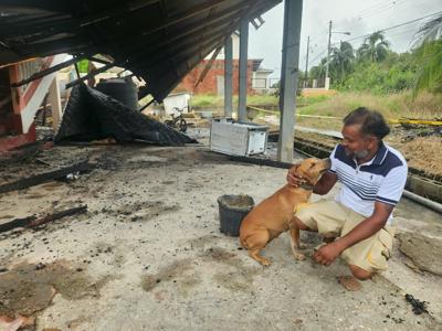 Dad saves four-year-old from fire, family dog dies