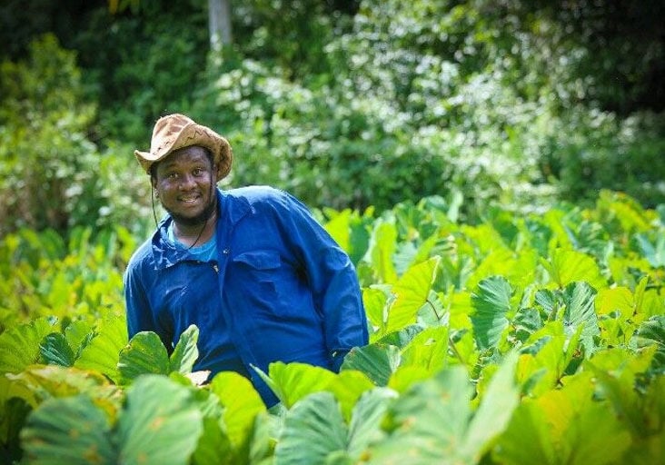 Agriculture In His Blood | Features Local | Trinidadexpress.com