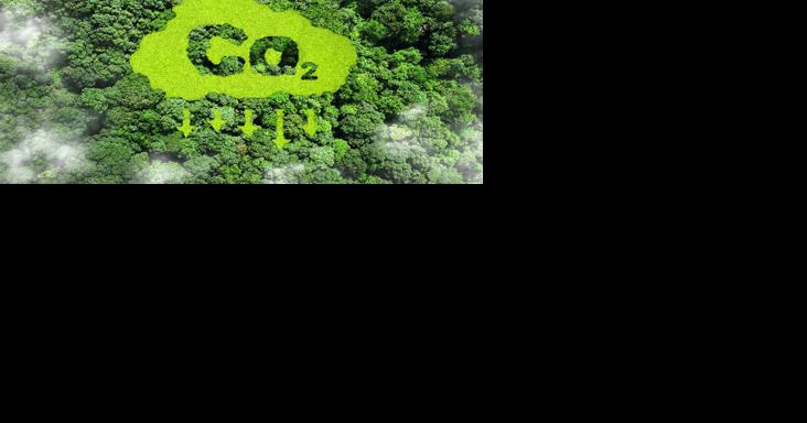 What is carbon capture and why did it keep coming up at COP28? - Vimarsana News