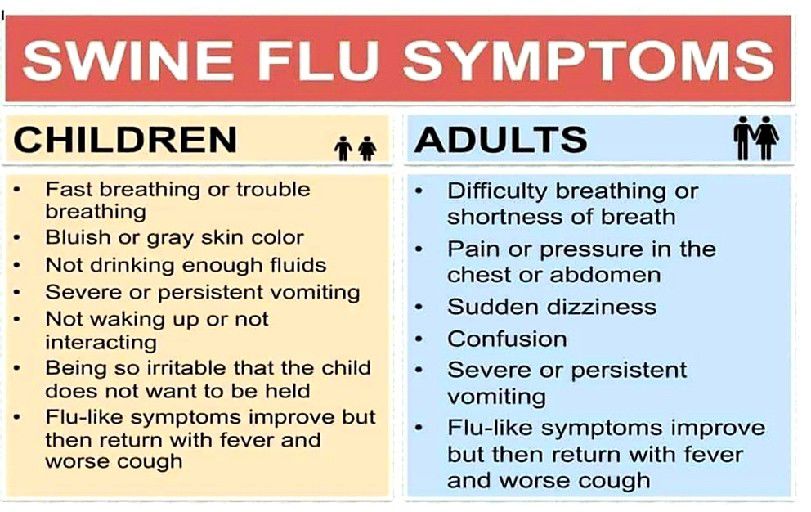 34 deaths due to swine flu in Rajkot this year so far, 6 in Ahmedabad, 55 deaths statewide since 1st January