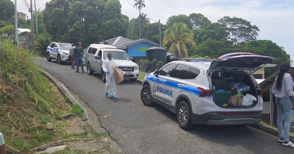Cops nab suspect getting off ferry