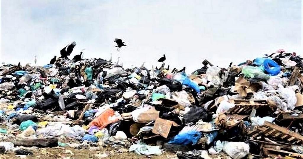 Buckets of body parts at dump