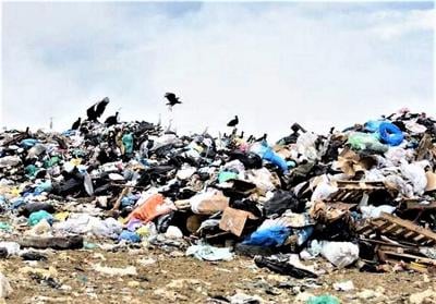 Buckets of body parts at dump