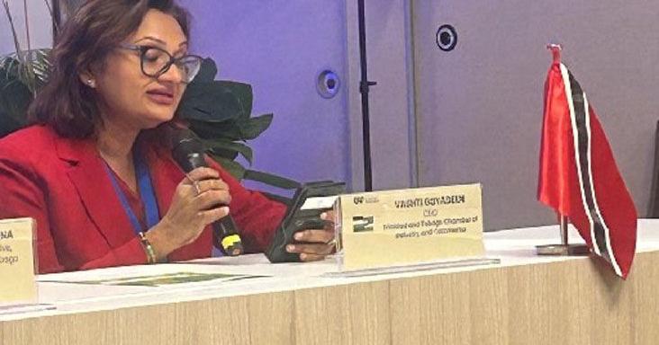 How do we convert policy into profitable partnerships?