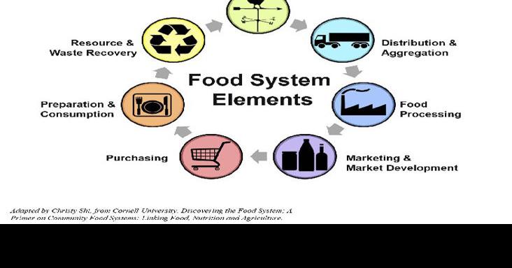 The food value chain and food system | Local Business | trinidadexpress.com