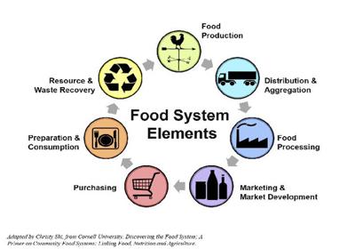 The food value chain and food system