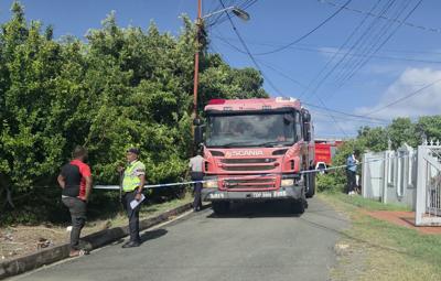 Nurse chopped, husband found dead in house
