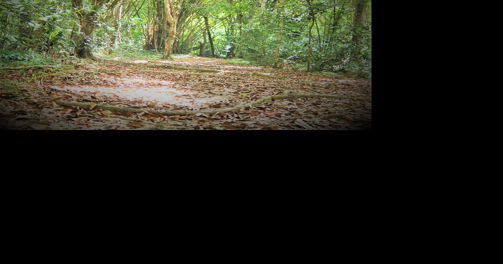 Hiking allowed in groups of 5 of less News Extra