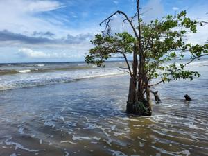 Migrant child drowns, two missing