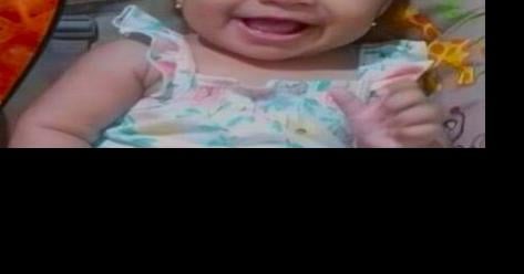 They tried to save little Harley - Vimarsana News