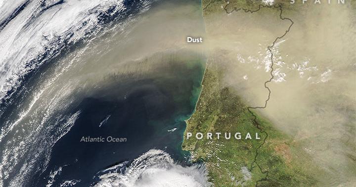 Saharan dust helps Amazon - Vimarsana News