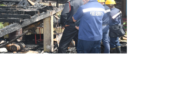 Granny dies in heroic rescue bid - Vimarsana News