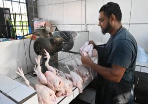 Chicken shortage exposes structural weaknesses in poultry industry